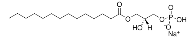 14:0リゾPA 1-myristoyl-2-hydroxy-sn-glycero-3-phosphate (sodium salt), powder