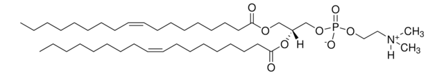 18:1 Dimethyl PE 1,2-dioleoyl-sn-glycero-3-phosphoethanolamine-N,N-dimethyl, powder