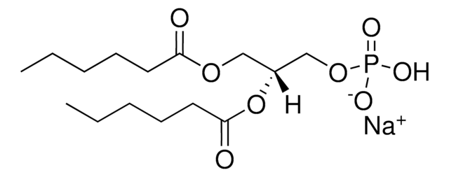 06:0 PA 1,2-dihexanoyl-sn-glycero-3-phosphate (sodium salt), powder