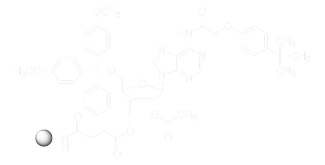 rA(tac)-CPG pore size 1000&#160;Å, 20-30 &#956;mol/g