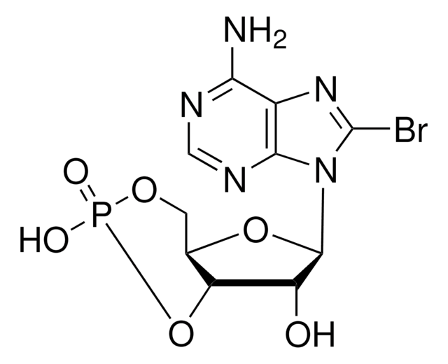 8-ブロモアデノシン3&#8242;,5&#8242;-サイクリックモノリン酸 &#8805;97% (HPLC)