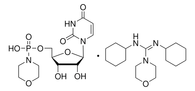 Uridine 5&#8242;-monophosphomorpholidate 4-morpholine-N,N&#8242;-dicyclohexylcarboxamidine salt