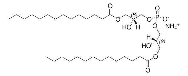 14:0 BMP (S,R) bis(monomyristoylglycero)phosphate (S,R Isomer) (ammonium salt), powder