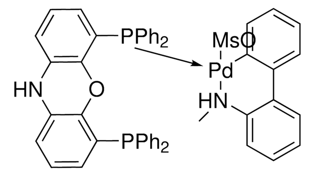 N-XantPhos Pd G4 ChemBeads