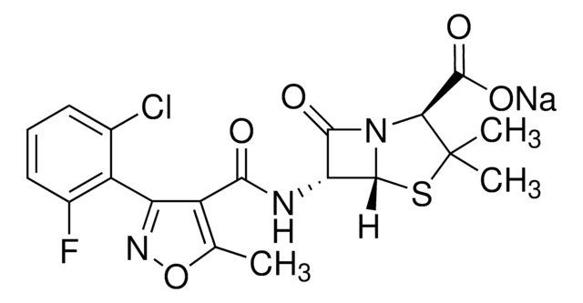 Flucloxacillin Natriumsalz British Pharmacopoeia (BP) Reference Standard