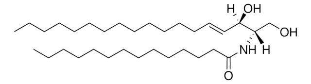 C14 Ceramide (d18:1/14:0) Avanti Research&#8482; - A Croda Brand 860514P, powder