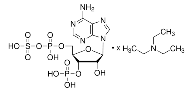 Adenosin 3&#8242;-phosphat 5&#8242;-phosphosulfat -triethylammonium (Salz) &#8805;90.0% (HPLC)