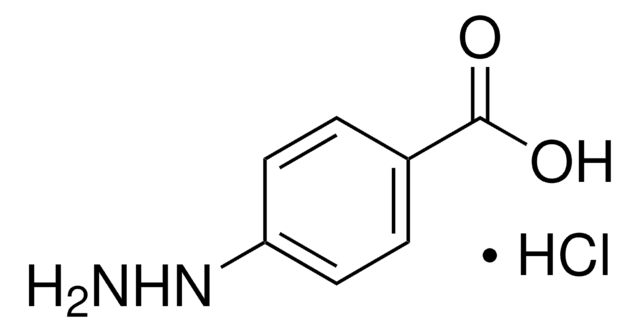 4-Hydrazinobenzoesäure -hydrochlorid 98%