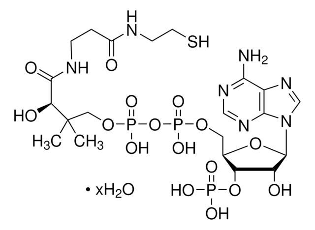 Coenzym&#160;A Hydrat &#8805;85% (UV, HPLC)