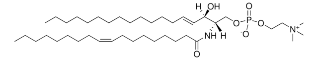 18:1 SM (d18:1/18:1(9Z)) Avanti Research&#8482; - A Croda Brand 860587P, powder