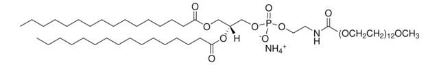 16:0 PEG550 PE Avanti Polar Lipids 880500P, powder