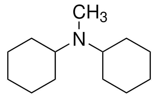 N,N-Dicyclohexylmethylamin 97%