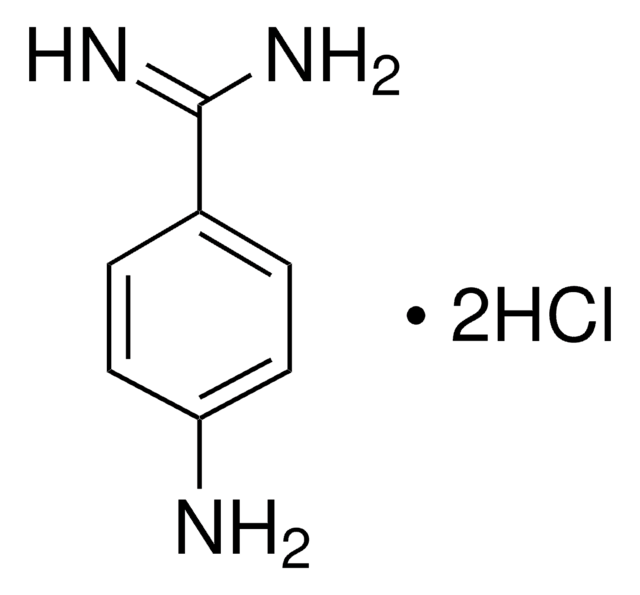 4-Aminobenzamidine dihydrochloride BioReagent, suitable for fluorescence, &#8805;99.0% (TLC)