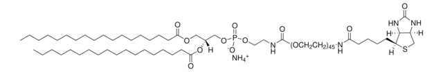 磷脂酰乙醇胺-聚乙二醇2000-生物素 Avanti Research&#8482; - A Croda Brand 880129P, powder