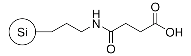 3-氨丙基(3-氧丁酸)官能化硅胶 nanoparticles, ~15&#160;nm particle size (DLS), dispersion, 2.5&#160;% (w/v) in DMF