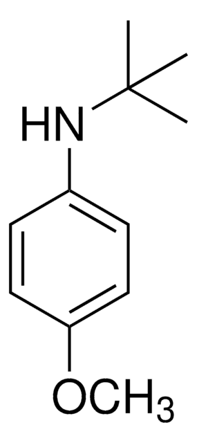 N-(tert-butyl)-4-methoxyaniline