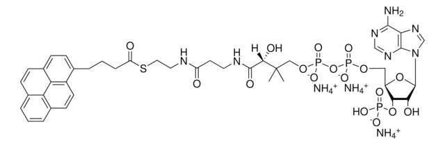 04:0 Pyrene Coenzyme A Avanti Research&#8482; - A Croda Brand 810704P, powder