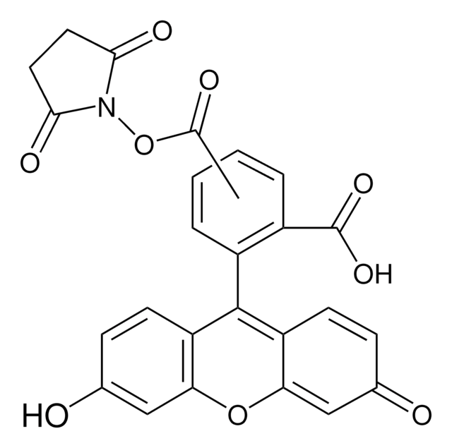 5(6)-カルボキシフルオレセイン N-ヒドロキシスクシミドエステル BioReagent, suitable for fluorescence, mixture of isomers, &#8805;80% (HPLC)