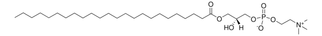 24:0 Lyso PC 1-lignoceroyl-2-hydroxy-sn-glycero-3-phosphocholine, powder