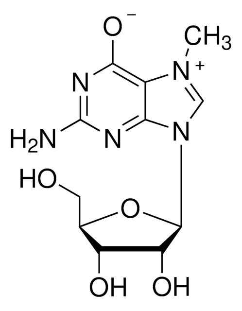 7-メチルグアノシン &#8805;90%