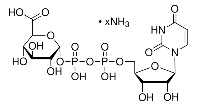 Uridin-5&#8242;-diphosphoglucuronsäure Ammoniumsalz 98-100%