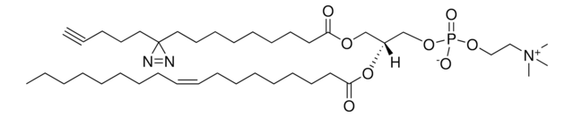 pacFA-18:1 PC Avanti Polar Lipids 900408P, powder