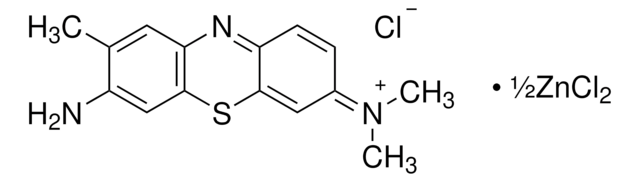 Toluidinblau for microscopy (Hist., Vit.), 8.74% (ZN (THEORY))