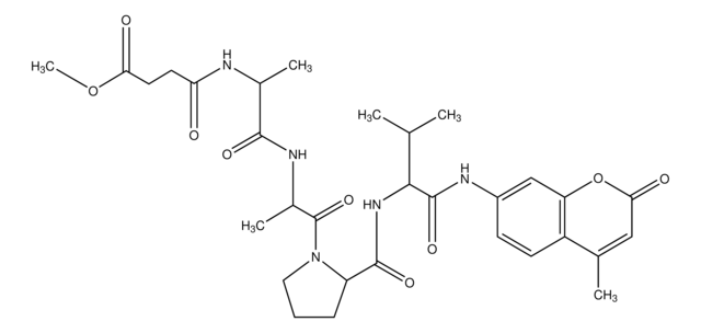 N-メトキシコハク酸-Ala-Ala-Pro-Val-7-アミド-4-メチルクマリン elastase substrate