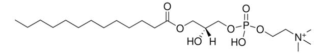 13:0 Lyso LPC Avanti Polar Lipids LM1600, methanol solution