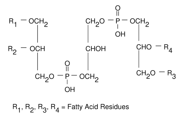 Cardiolipine solution from bovine heart 4.7-5.3&#160;mg/mL in ethanol, &#8805;97% (TLC)