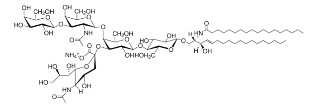 Ganglioside GM1 (Ovine Brain) Avanti Research&#8482; - A Croda Brand