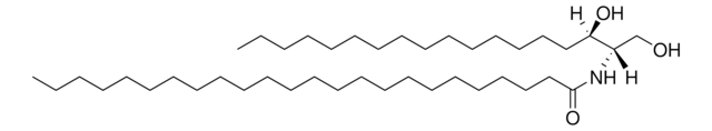 C24 二氢神经酰胺（d18:0/24:0） Avanti Research&#8482; - A Croda Brand 860628P, powder