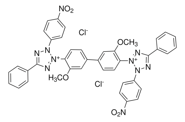 Chlorure de bleu de nitrotétrazolium &#8805;90.0% (HPLC)