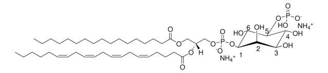 17:0-20:4 PI(5)P Avanti Polar Lipids LM1902, powder