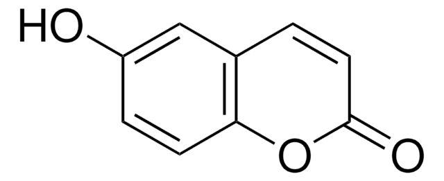 6-Hydroxycumarin 96%