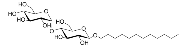 N-Dodecyl-Beta-D-Maltoside (DDM, 85%) Avanti Polar Lipids