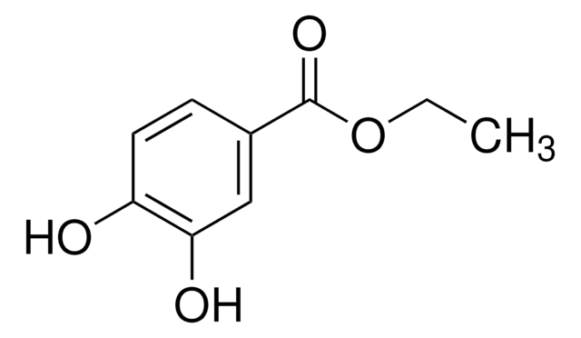 Protocatechuic acid ethyl ester 97%