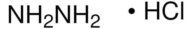 Hydrazin -monohydrochlorid 97%