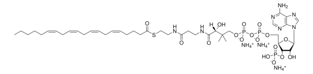 20:4 Coenzyme A Avanti Research&#8482; - A Croda Brand 870721P, powder