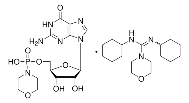 Guanosine 5&#8242;-monophosphomorpholidate 4-morpholine-N,N&#8242;-dicyclohexylcarboxamidine salt &#8805;90%