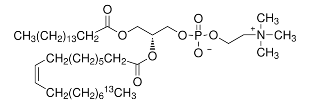 2-オレオイル-18-13C-1-パルミトイル-sn-glycero-3-ホスホコリン 97 atom % 13C, 97% (CP)