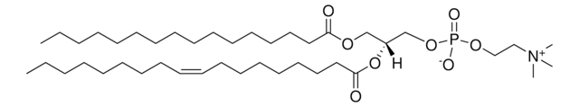 16:0-18:1 PC Avanti Polar Lipids