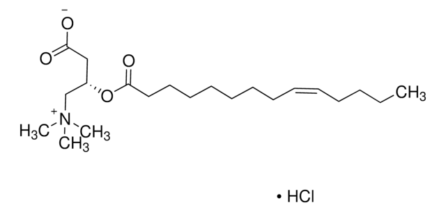 chlorowodorek cis-9-tetradecenoilo-L-karnityny 97% (CP)