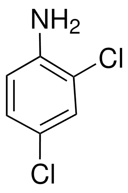 2,4-Dichloranilin 99%