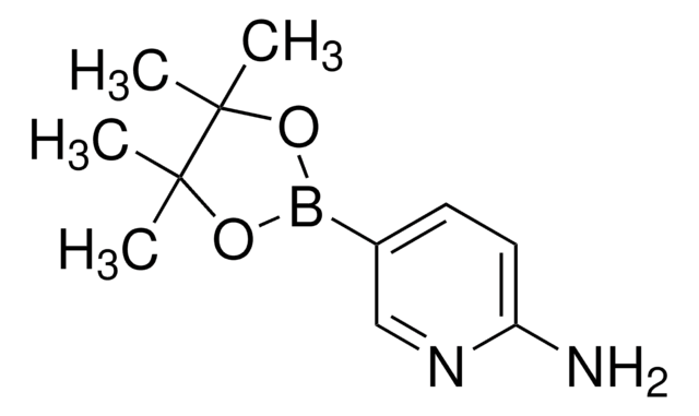 2-Aminopyridin-5-Boronsäurepinakolester 97%