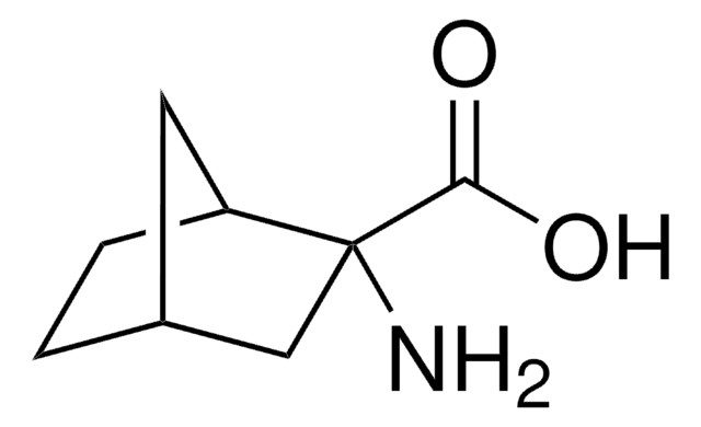 2-Amino-2-Norbornan-Carboxylsäure amino acid transport inhibitor