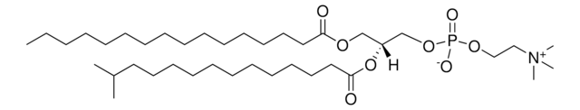 16:0-i15:0 PC Avanti Research&#8482; - A Croda Brand (857504P), powder