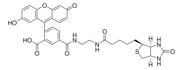 ビオチン-4-フルオレセイン &#8805;95.0% (HPLC)