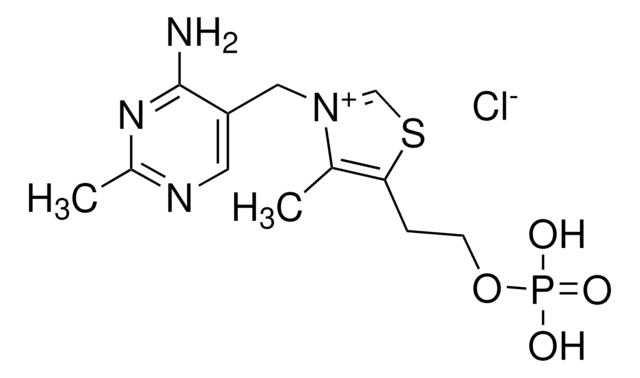 Chlorure de thiamine monophosphate dihydrate