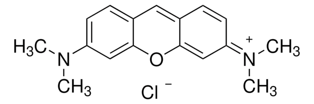 派洛宁Y for NA electrophoresis